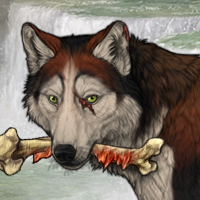 Wolf Headshot