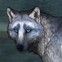 Tiadoroppu Headshot