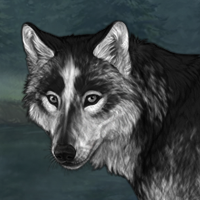 Wolf Headshot