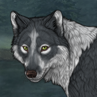 Wolf Headshot