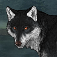 Wolf Headshot