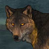 Wolf Headshot