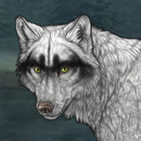 Wolf Headshot