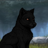 T2 Melanism Headshot