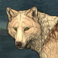 Wolf Headshot