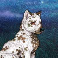 603 dalmatian Headshot