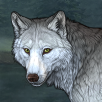 Wolf Headshot