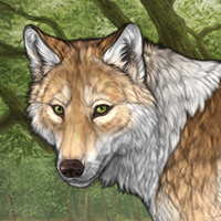 Wolf Headshot