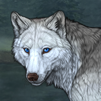 Wolf Headshot