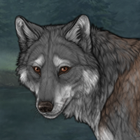 Greywind Headshot