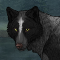 Wolf Headshot