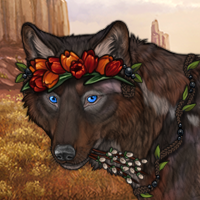 Wolf Headshot