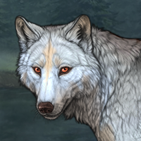 Wolf Headshot