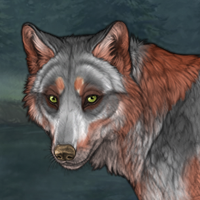 Wolf In Sheep's Clothing Headshot
