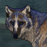 Cobalt Badger Headshot