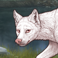 Sakaala Headshot