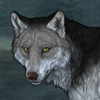 Wolf Headshot