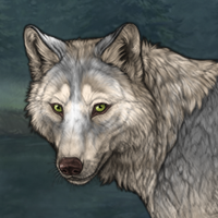 Wolf Headshot