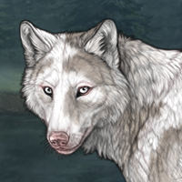 Piebald: Uneven Headshot