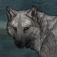 Jax Headshot