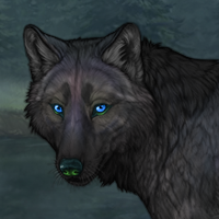 Dark Hyena Headshot