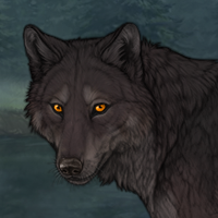 Bitterbark Headshot