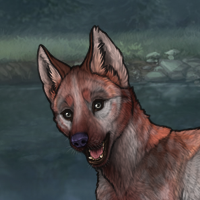 Thornpup Headshot