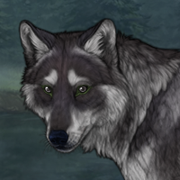 Wolf Headshot