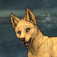 Enclave Puppy Headshot