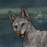 New Largest Puppy Headshot