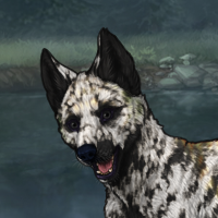 Biotite, 4xMerle, female Headshot