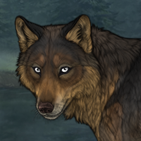IronRust Headshot