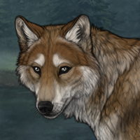 Pecan Wolf Headshot