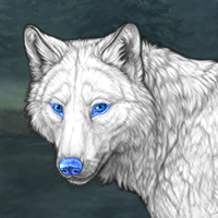 Frostfur Headshot