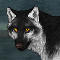 Wolf Headshot