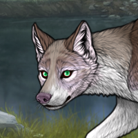 Selkie Headshot