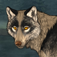 Wolf Headshot