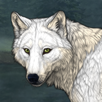 白の狼 Headshot