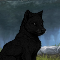 M|Denim|2m|Melanistic Headshot