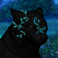 M|Denim|2m|Melanistic Headshot