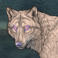 Moonglow eyes pup Headshot