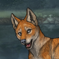 Foxi Headshot