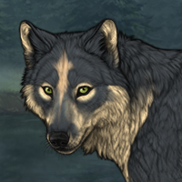 Wolf Headshot