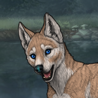 Enclave Pup Headshot