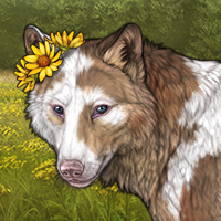 Uneven pup test Headshot