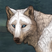 Brachán Headshot