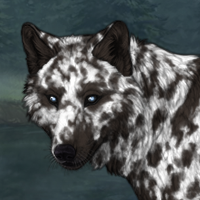 Spooky Dalmatian Headshot