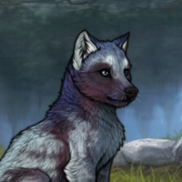 Enclave Headshot