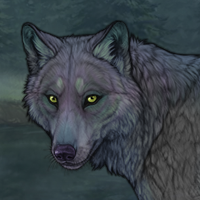 Wolf Headshot