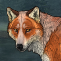 Fox sale Headshot